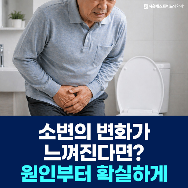 전립선비대증 원인부터