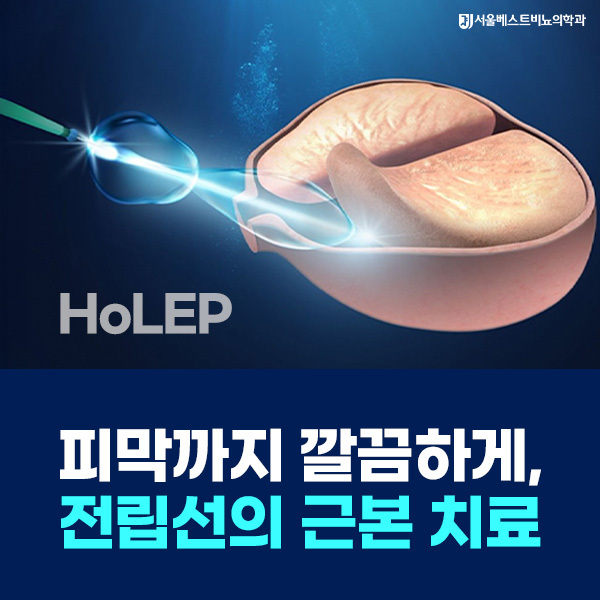 홀렙수술 전립선의 근본치료